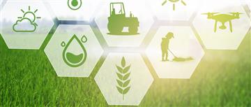 惊天反转！央国企集体跨界种地：背后到底嗅到了什么大买卖？农产品eRWA会是国企融资的下一站吗？