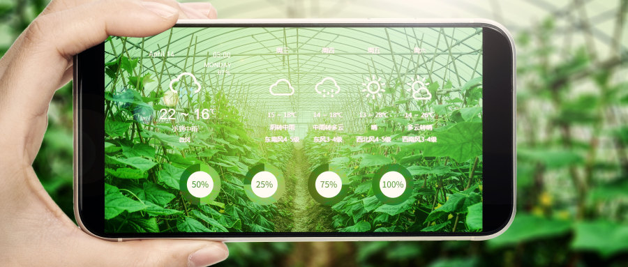 告别“菜贱伤农”！盘点那些正在改变中国农业的10种供应链玩法，谁在闷声发大财？